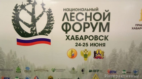 Интерактивный стол на Национальном лесном форуме 